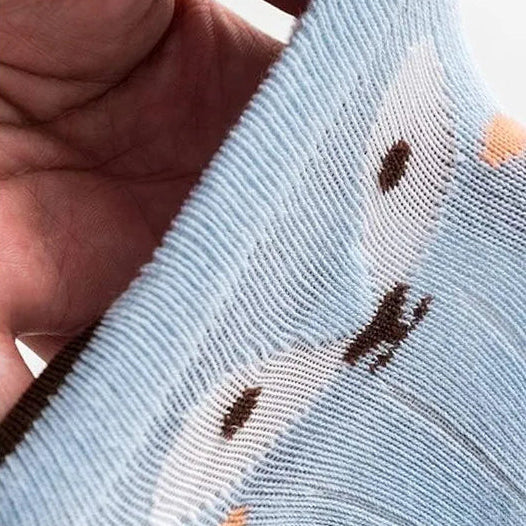 Playtime Edition Kids Socks